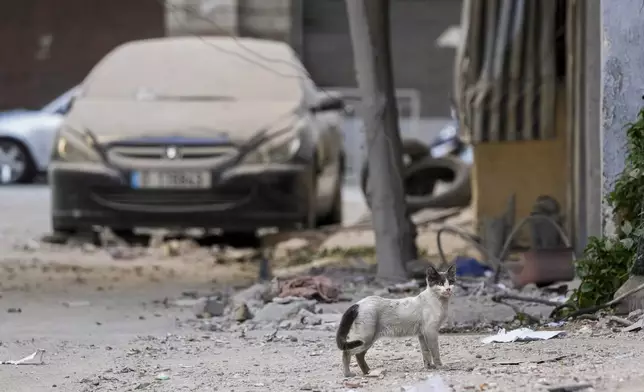 A cat walks past a building that was hit by an Israeli airstrike in Beirut's southern suburb, Lebanon, Monday, Sept. 30, 2024. (AP Photo/Hassan Ammar)