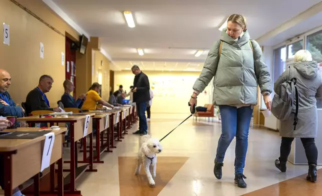 A woman with a dog arrives at a polling station during a second round of voting in parliamentary election, in Vilnius, Lithuania, Sunday, Oct. 27, 2024. (AP Photo/Mindaugas Kulbis)