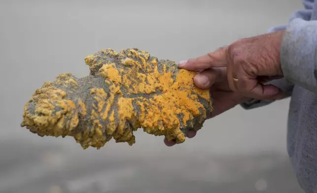 Russ Lewis points at the wear on a piece of plastic foam he found during a cleanup along Long Beach Peninsula in Pacific County, Wash., Monday, June 17, 2024. (AP Photo/Lindsey Wasson)