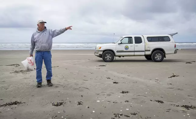 Russ Lewis points towards a nearby protected nesting zone for snowy plovers as he collects garbage along Long Beach Peninsula in Pacific County, Wash., Monday, June 17, 2024. (AP Photo/Lindsey Wasson)