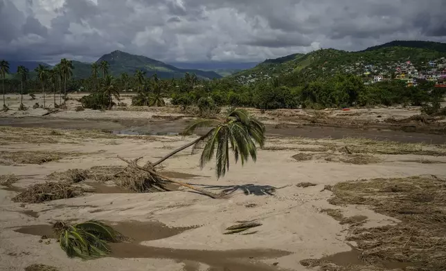 An uprooted palm tree withers near what used to be a road before before Hurricane John passed through Coyuca de Benitez, Guerrero state, Mexico, Monday, Sept. 30, 2024. (AP Photo/Felix Marquez)