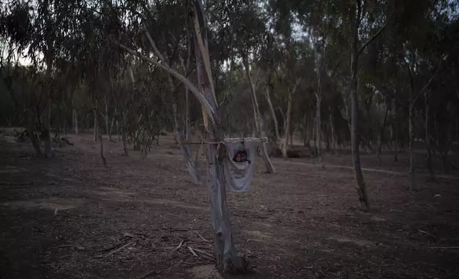 A T-shirt with an image of a couple Antonio Yaniv Macías Montano and Yvonne Eden Patricia Rubio Vargas hangs on a tree at the site where revelers were killed and kidnapped during the Hamas attack on Oct. 7, 2023, on the Nova music festival, near Kibbutz Reim, southern Israel, Friday, Sept. 27, 2024. (AP Photo/Leo Correa)