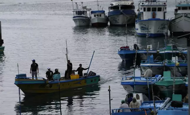 Fishermen arrive to port in San Mateo, Ecuador, Wednesday, Sept. 25, 2024. (AP Photo/Dolores Ochoa)