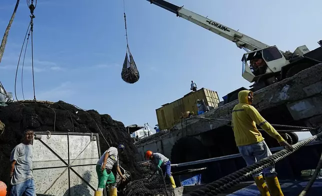 Workers unload fish from an industrial fishing boat moored in Puerto Atun in Jaramijo, Ecuador, Thursday, Sept. 26, 2024. (AP Photo/Dolores Ochoa)