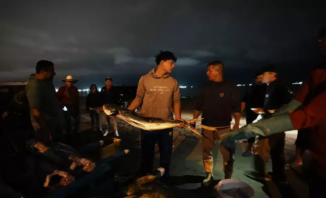 Fishermen sell their catch of the day to buyers, on the beach in Manta, Ecuador, Tuesday, Sept. 24, 2024. (AP Photo/Dolores Ochoa)
