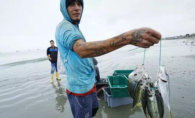 A fisherman holds his catch of the day for clients, after returning from the sea, in Manta, Ecuador, Tuesday, Sept. 24, 2024. (AP Photo/Dolores Ochoa)