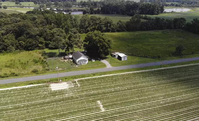 Farm fields and woods surround the home of Amy and Chris Arthur outside Mount Olive, N.C., on Monday, July 15, 2024. (AP Photo/Allen G. Breed)