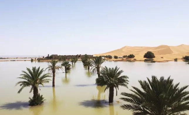 Palm trees are flooded in a lake caused by heavy rainfall in the desert town of Merzouga, near Rachidia, southeastern Morocco, Wednesday, Oct. 2, 2024. (AP Photo)