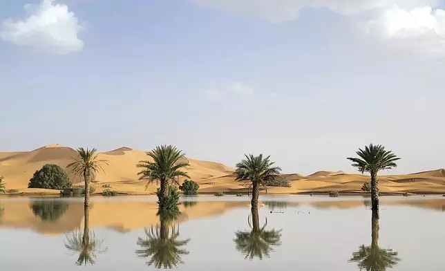 Palm trees are reflected in a lake caused by heavy rainfall in the desert town of Merzouga, near Rachidia, southeastern Morocco, Wednesday, Oct. 2, 2024. (AP Photo)