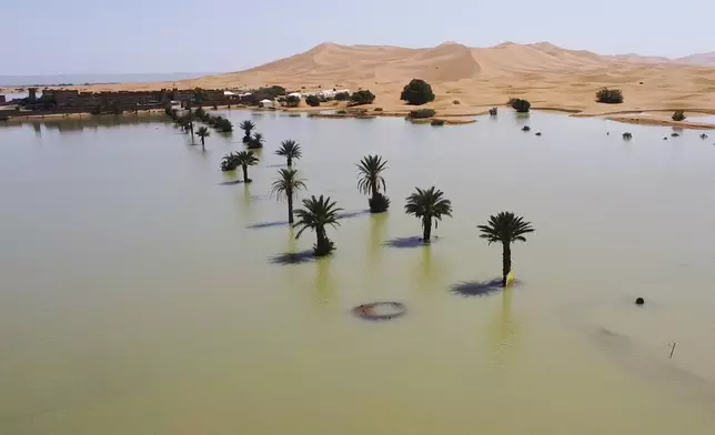 Palm trees are flooded in a lake caused by heavy rainfall in the desert town of Merzouga, near Rachidia, southeastern Morocco, Wednesday, Oct. 2, 2024. (AP Photo)