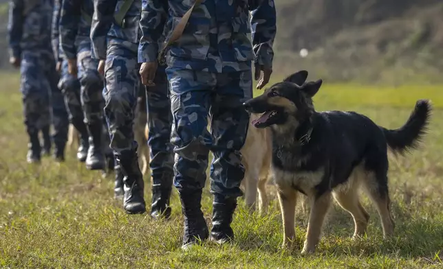 Nepal's Armed Police Force get ready with their dog to display skills at their kennel division during Kukkur Tihar festival in Kathmandu, Nepal, Thursday, Oct. 31, 2024. Every year, dogs are worshiped to acknowledge their role in providing security during the second day of five days long Hindu festival Tihar. (AP Photo/Niranjan Shrestha)