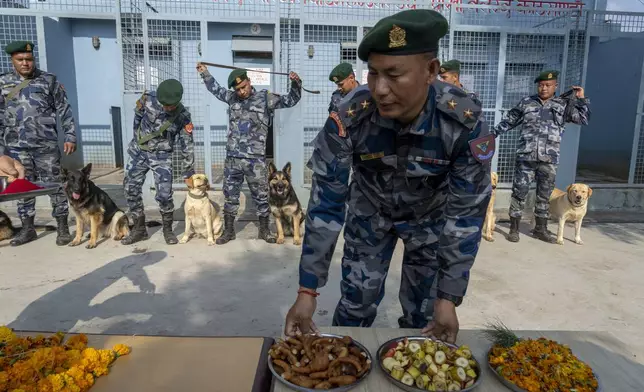 Nepal's Armed Police Force get ready with their dog to worship at their kennel division during Kukkur Tihar festival in Kathmandu, Nepal, Thursday, Oct. 31, 2024. Every year, dogs are worshiped to acknowledge their role in providing security during the second day of five days long Hindu festival Tihar. (AP Photo/Niranjan Shrestha)