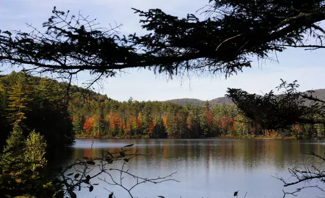 Fall foliage begins to show color in Campton, N.H., Sunday, Oct. 6, 2024. (AP Photo/Caleb Jones)