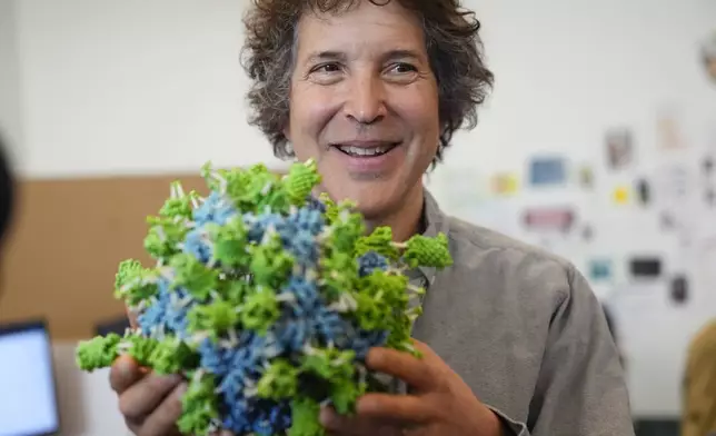 American biochemist David Baker, 2024 Nobel Prize winner in Chemistry, holds a model of a designed protein nanoparticle during a tour at the University of Washington on Wednesday, Oct. 9, 2024, in Seattle. (AP Photo/Lindsey Wasson)