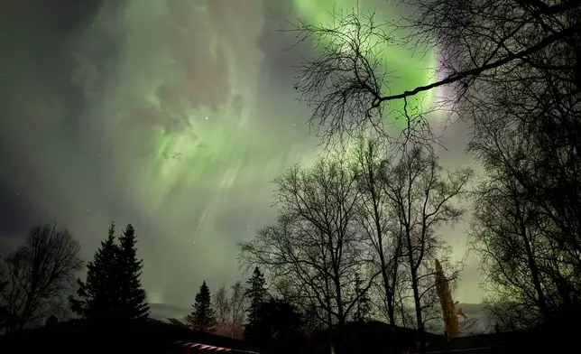 The northern lights appear over Anchorage, Alaska, early the morning of Friday, Oct.. 11, 2024. (AP Photo/Mark Thiessen)