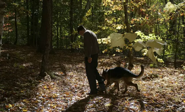 Brother Luke, an Orthodox Christian monk, takes his German shepherds for a walk on the mountainside trails around the monastery of New Skete, which for decades has run both a dog breeding and a dog training program outside Cambridge, N.Y., on Oct. 12, 2024. (AP Photo/Giovanna Dell’Orto)