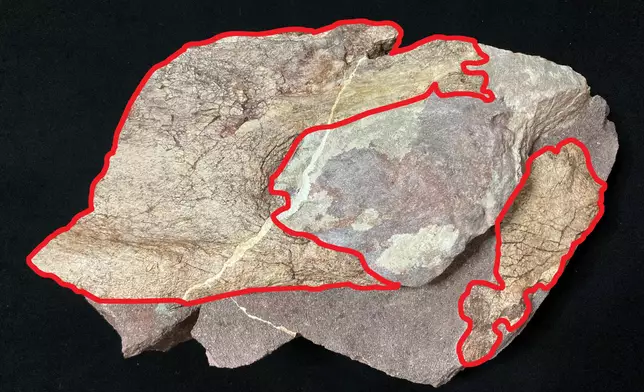 Hong Kong and Mainland experts jointly study first discovery of dinosaur fossils in Hong Kong  Source: HKSAR Government Press Releases