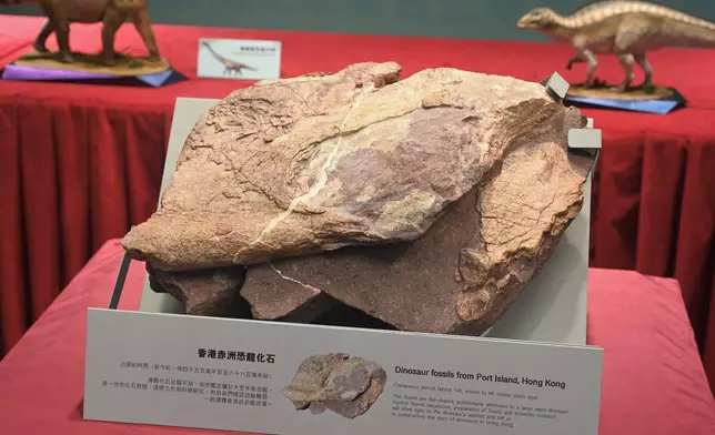 Hong Kong and Mainland experts jointly study first discovery of dinosaur fossils in Hong Kong  Source: HKSAR Government Press Releases