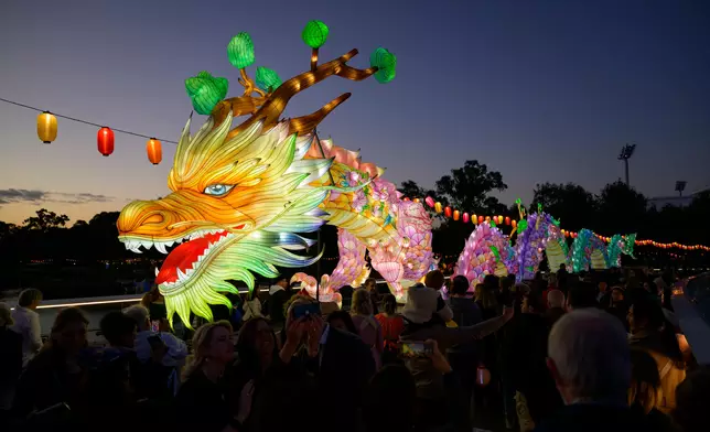 New Hong Kong Dragon shines brightly at OzAsia Festival in Adelaide  Source: HKSAR Government Press Releases