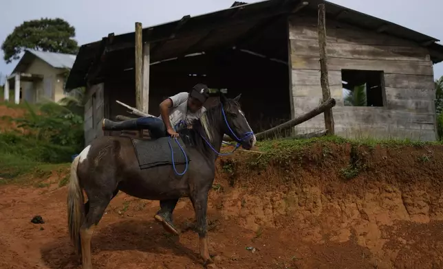 A youth mounts his horse in El Jobo village, Panama, Saturday, Aug. 31, 2024. In a proposed plan to dam the nearby Indio River to secure the Panama Canal’s uninterrupted operation, El Jobo could have less reliable access to water. (AP Photo/Matias Delacroix)