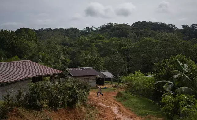 A man walks to a meeting with Panama Canal representatives through El Jobo, a village that could lose reliable access to water due to a proposed dam project in the Indio River to secure the Panama Canal’s uninterrupted operation in Panama, Saturday, Aug. 31, 2024. (AP Photo/Matias Delacroix)