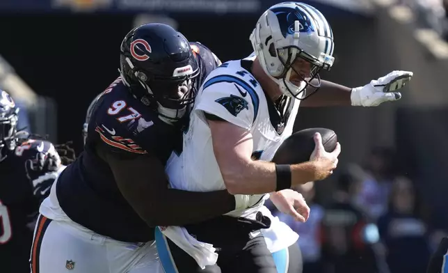 Chicago Bears defensive tackle Andrew Billings (97) sacks Carolina Panthers quarterback Andy Dalton (14) during the second half of an NFL football game Sunday, Oct. 6, 2024, in Chicago. (AP Photo/Nam Y. Huh)