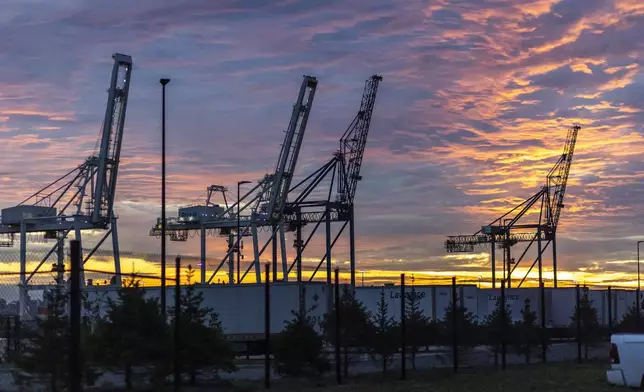 Cranes and shipping containers are seen at Port Jersey during a port strike, Tuesday, Oct. 1, 2024, in Bayonne. (AP Photo/Eduardo Munoz Alvarez)