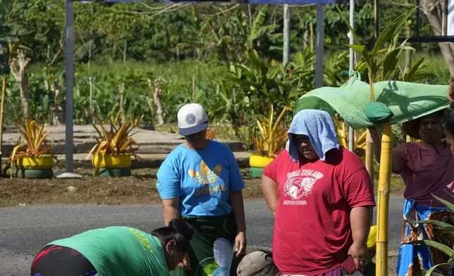 People from the village of Siumu, Samoa, work on decorating the entrance of their village on Monday, Oct. 21, 2024, as they prepare for the arrival of King Charles III. (AP Photo/Rick Rycroft)