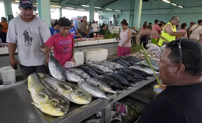 Taula Fagatuai, right, sells the mahi mahi and bonito he caught at the fish market in Apia, Samoa, on Sunday, Oct. 20, 2024. (AP Photo/Rick Rycroft)