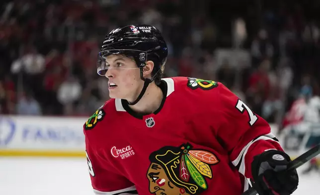 Chicago Blackhawks left wing Lukas Reichel skates during the second period of an NHL hockey game against the San Jose Sharks, Thursday, Oct. 17, 2024, in Chicago. (AP Photo/Erin Hooley)