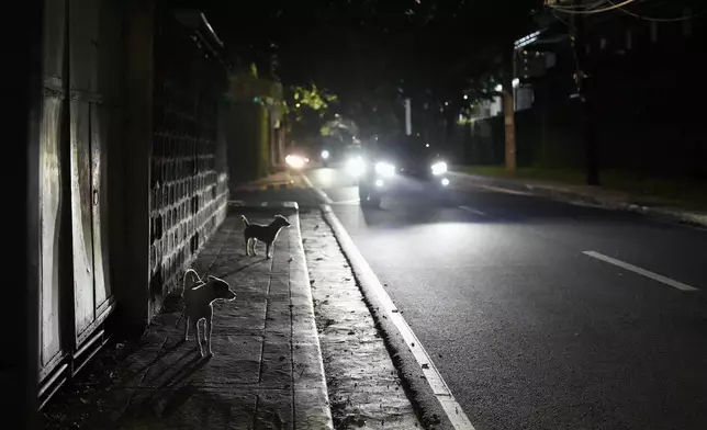 Dogs walk in a dimly lit portion of Balete Drive in Quezon City, Philippines, Friday, Oct. 25, 2024. (AP Photo/Aaron Favila)