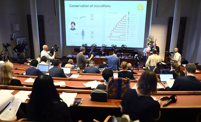 Olle Kämpe, right, professor of clinical endocrinology, explains the work of this year's Nobel Prize in Physiology or Medicine laureates Americans Victor Ambros, and Gary Ruvkun, pictured on the screen, during a press conference at the Karolinska Institute in Stockholm, Sweden, on Monday, Oct. 7, 2024. (Christine Olsson/TT News Agency via AP)