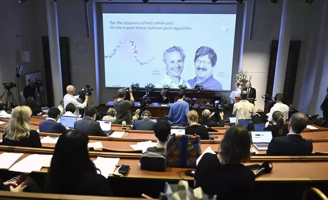 Americans Victor Ambros, left, and Gary Ruvkun, are seen on a screen after being awarded this year's Nobel Prize in Physiology or Medicine during a press conference to announce the winners at the Karolinska Institute in Stockholm, Sweden, on Monday, Oct. 7, 2024. (Christine Olsson/TT News Agency via AP)