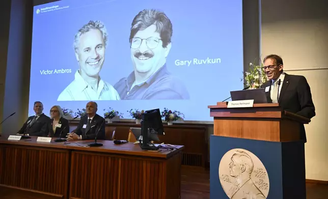 Nobel Committee chairman Thomas Perlmann, right, announces Americans Victor Ambros, left, and Gary Ruvkun, seen on a screen being awarded this year's Nobel Prize in Physiology or Medicine, during a press conference at the Karolinska Institute in Stockholm, Sweden, on Monday, Oct. 7, 2024. (Christine Olsson/TT News Agency via AP)