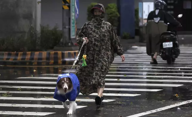 A woman walks her dog as Typhoon Kong-rey approaches to Taiwan in Taipei, Taiwan, Thursday, Oct. 31, 2024. (AP Photo/Chiang Ying-ying)