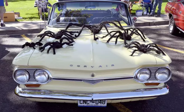 A classic car is decorated with fake spiders at the Tarantula Festival in La Junta, Colo., Saturday, Sept. 28, 2024. (AP Photo/Thomas Peipert)