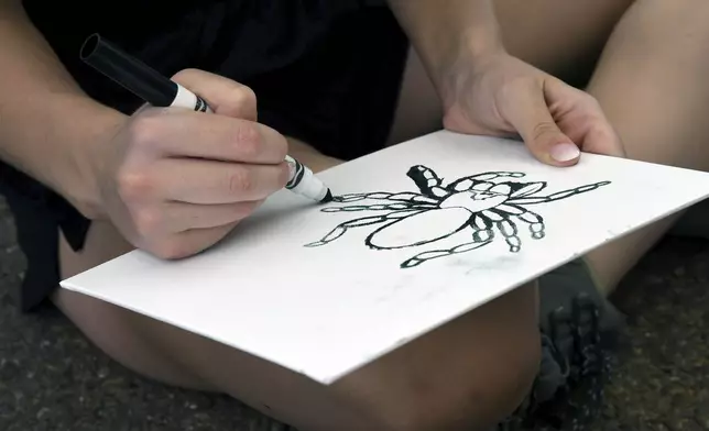 Raven Myhre, of Fort Collins, Colo., draws a spider at the Tarantula Festival in La Junta, Colo., on Saturday, Sept. 28, 2024. (AP Photo/Thomas Peipert)