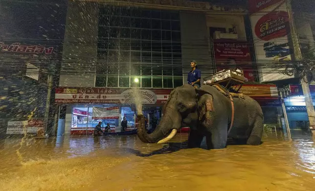 An elephant wades through flood waters to help bring relief supplies to villager in Chiang Mai Province, Thailand, Sunday, Oct. 6, 2024. (AP Photo/Wason Wanichakorn)