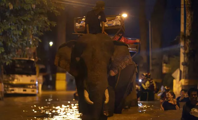 Elephants wade through flood waters to help bring relief supplies to villagers in Chiang Mai Province, Thailand, Sunday, Oct. 6, 2024. (AP Photo/Wason Wanichakorn)