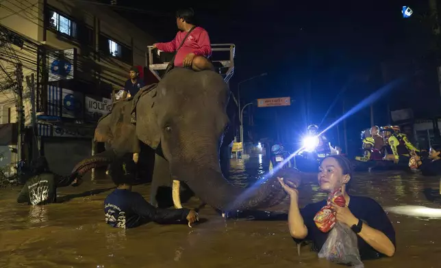 Elephants wade through flood waters to help bring relief supplies to villagers in Chiang Mai Province, Thailand, Sunday, Oct. 6, 2024. (AP Photo/Wason Wanichakorn)