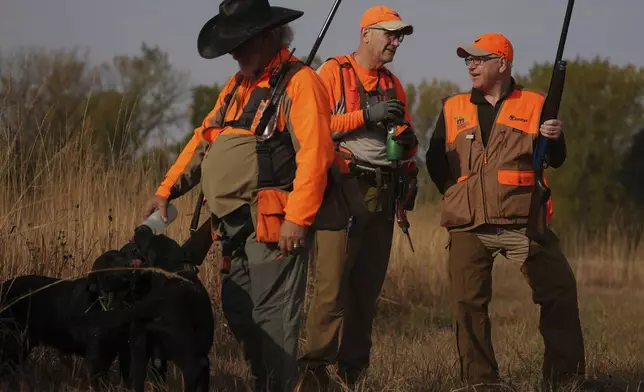 Minnesota Governor and Democratic Vice Presidential candidate Tim Walz talks with Matt Kucharski, as Scott Rall gives water to his three hunting dogs, during the annual Minnesota Governor's Pheasant Hunting Opener, Saturday, Oct. 12, 2024, near Sleepy Eye, Minn. (Anthony Souffle/Star Tribune via AP)