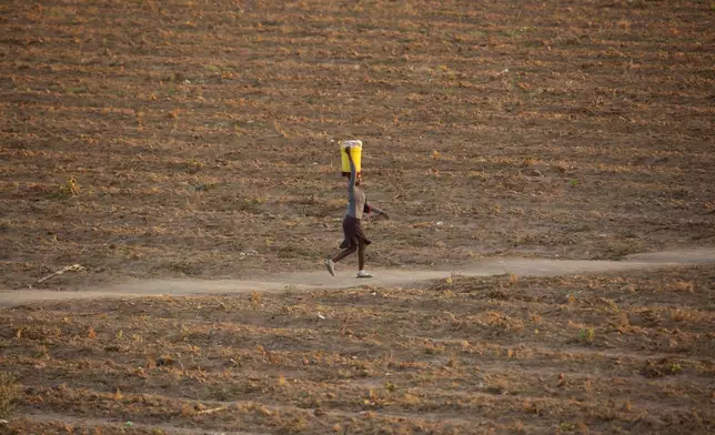 FILE - A woman walks along a path in a drought-stricken field in Zvimba, rural Zimbabwe, Saturday, June, 26, 2021. (AP Photo/Tsvangirayi Mukwazhi, File)