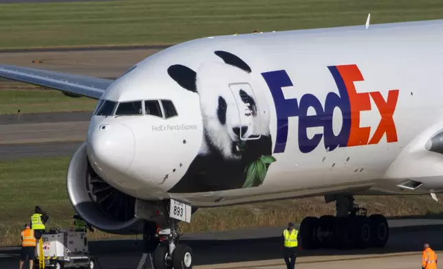 Ground crew walk up to a FedEx cargo plane carrying giant pandas from China after it landed at Dulles International Airport on Tuesday, Oct. 15, 2024 in Sterling, Va. (AP Photo/Kevin Wolf)