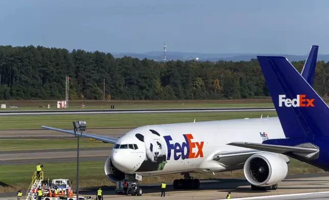 A FedEx cargo plane arrives at Dulles International Airport carrying giant pandas from China on Tuesday, Oct. 15, 2024 in Sterling, Va. (AP Photo/Kevin Wolf)