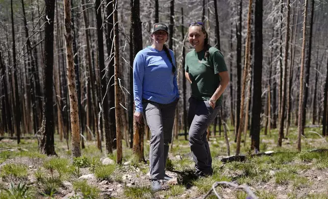 Marin Chambers, left, and Camille Stevens-Rumann pose on Tuesday, June 11, 2024, in Bellvue, Colo., at the site of the 2020 Cameron Peak Fire. (AP Photo/Brittany Peterson)