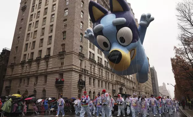 Handlers pull the Bluey balloon down Central Park West during the Macy's Thanksgiving Day Parade, Thursday, Nov. 28, 2024, in New York. (AP Photo/Yuki Iwamura)