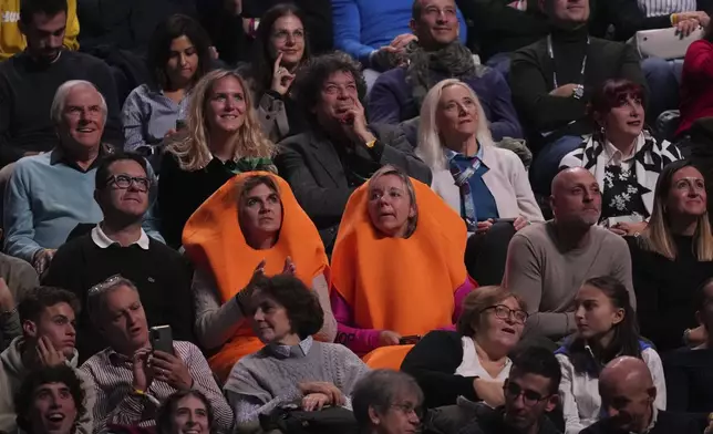 Supporters of Italy's Jannik Sinner cheers during the singles tennis match of the ATP World Tour Finals between Australia's Alex de Minaur and Italy's Jannik Sinner, at the Inalpi Arena, in Turin, Italy, Sunday, Nov. 10, 2024. (AP Photo/Antonio Calanni)