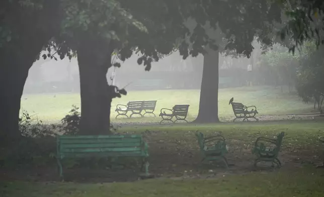 A crow rests on a bench on a smoggy morning in Lodhi Gardens in New Delhi, India, Friday, Nov. 15, 2024. (AP Photo/Manish Swarup)