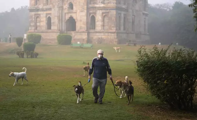 Ajay, only one name given, walks his dogs in the smog-enveloped Lodhi Gardens in New Delhi, India, Friday, Nov. 15, 2024. (AP Photo/Manish Swarup)