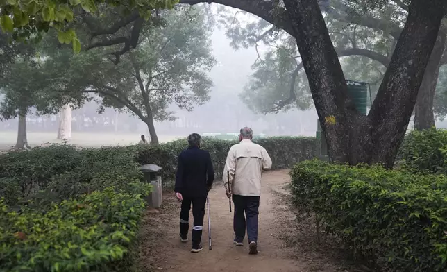 Rajiv Sikri, right, and Subodh Jain take a morning walk in the smog-clad Lodhi Gardens in New Delhi, India, Friday, Nov. 15, 2024. (AP Photo/Manish Swarup)